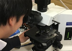 アスベスト分析